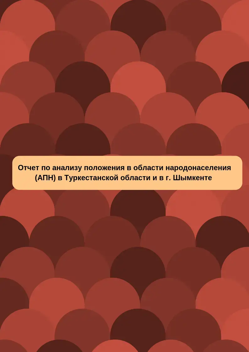 Отчет по анализу положения в области народонаселения в Туркестанской области в г. Шымкенте